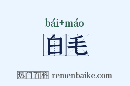 白毛是什么意思的图片